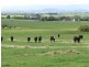 480 Waterloo Road, Trafalgar East VIC 3824