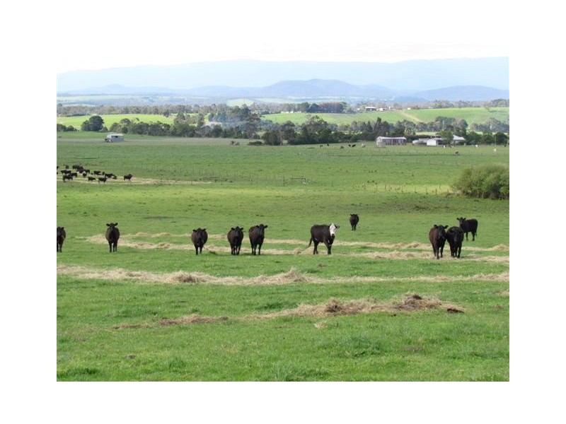 480 Waterloo Road, Trafalgar East VIC 3824