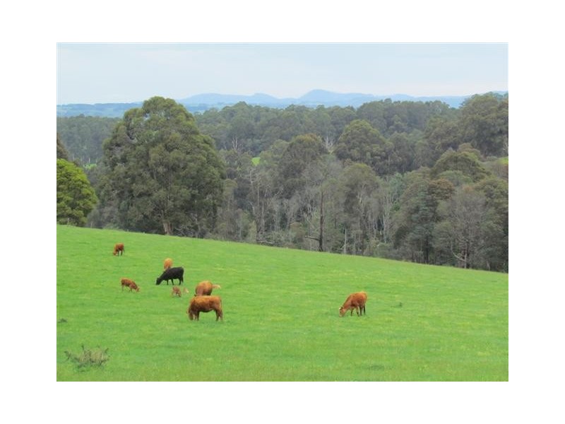 360 Bride Road, Vesper VIC 3833