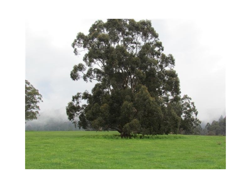 360 Bride Road, Vesper VIC 3833