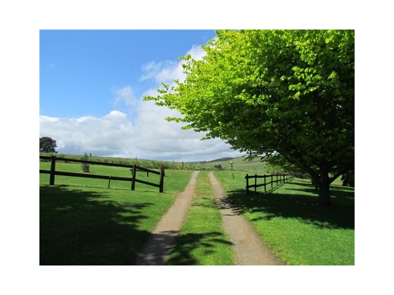 141 Chute Road, Thorpdale VIC 3835