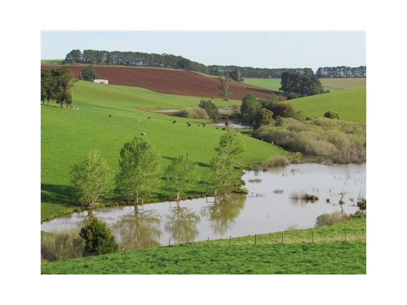 141 Chute Road, Thorpdale VIC 3835