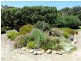 21 Williamson St, Fish Creek VIC 3959