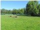 359 Little Moe River Road, Yarragon VIC 3823
