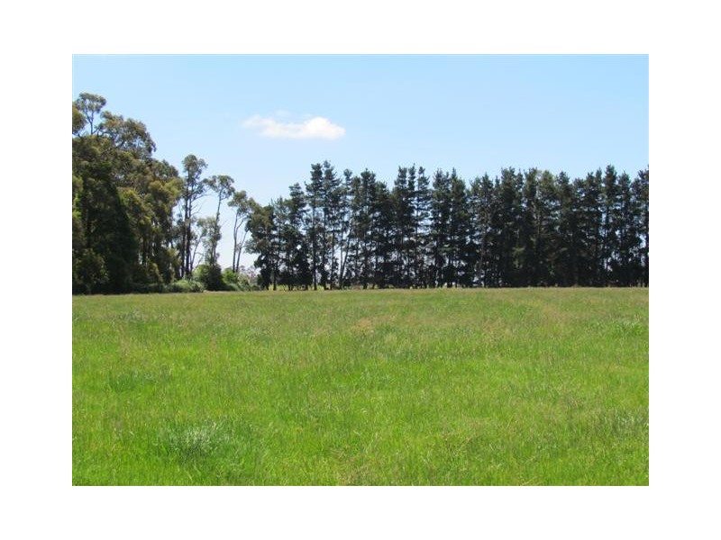 359 Little Moe River Road, Yarragon VIC 3823
