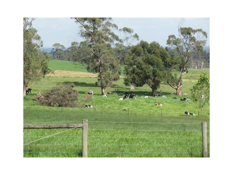 2365 Westernport Road, Ripplebrook VIC 3818