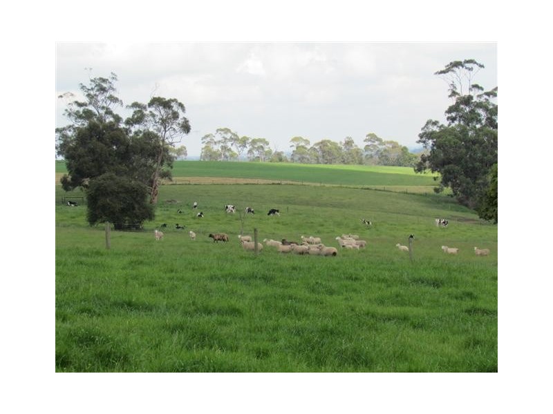 2365 Westernport Road, Ripplebrook VIC 3818