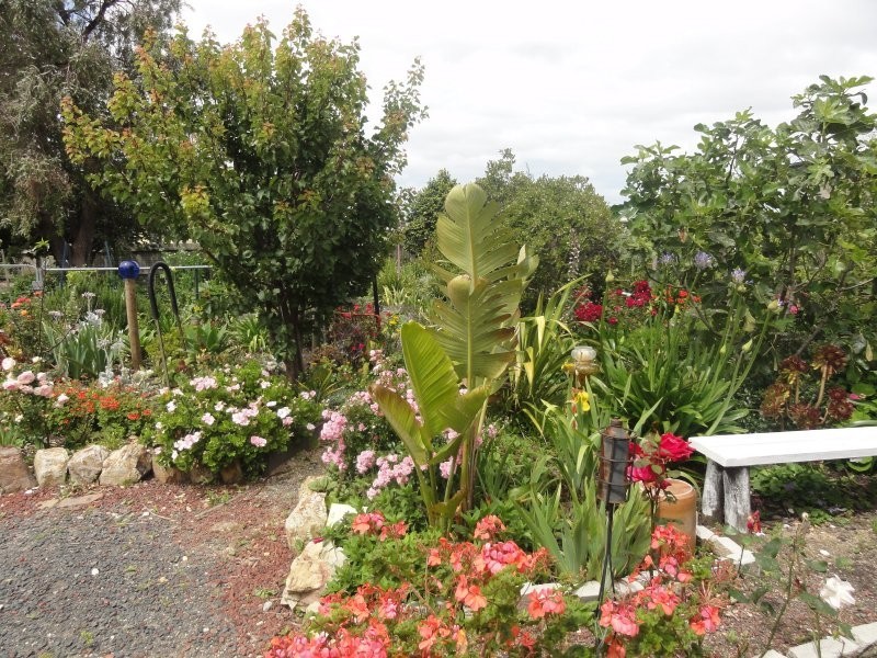 32 Harriet, Toora VIC 3962