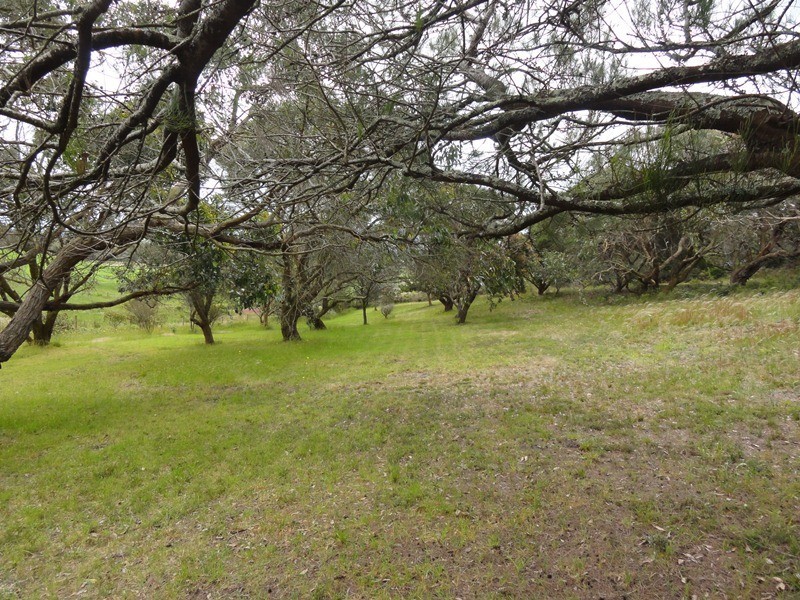 650 Fish Ck-Walkerville Rd, Walkerville VIC 3956