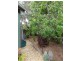 80 Grevillia Street, Walkerville VIC 3956