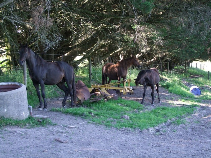 40 Pender Smith Road, Trida VIC 3953