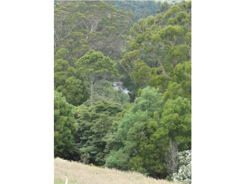 580 Woomera Creek Rd, Toora North VIC 3962
