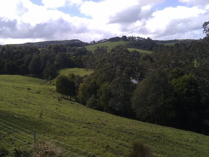 580 Woomera Creek Rd, Toora North VIC 3962