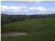 580 Woomera Creek Rd, Toora North VIC 3962