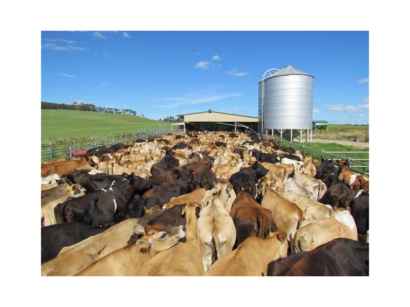 1515 + 1517 Drouin – Korumburra Road, Poowong North VIC 3988