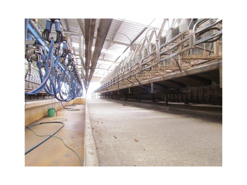 1515 + 1517 Drouin – Korumburra Road, Poowong North VIC 3988