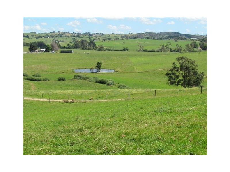 1515 + 1517 Drouin – Korumburra Road, Poowong North VIC 3988