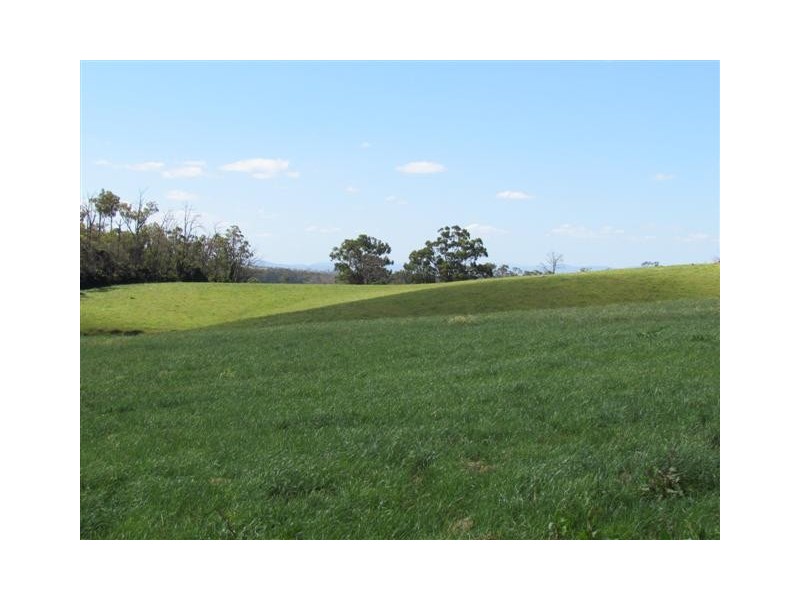 1515 + 1517 Drouin – Korumburra Road, Poowong North VIC 3988