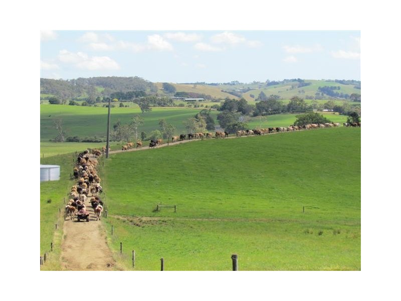 1515 + 1517 Drouin – Korumburra Road, Poowong North VIC 3988