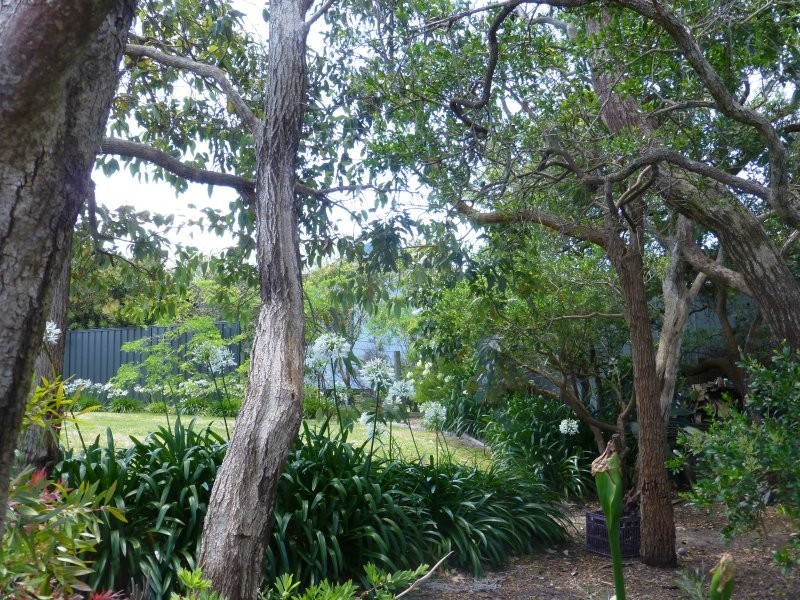 56 Banksia Ave, Sandy Point VIC 3959