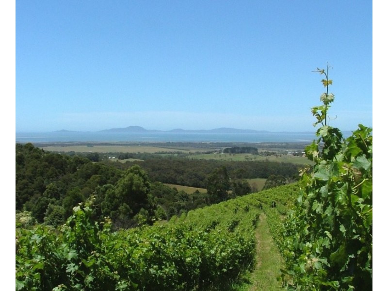 527 Foster Fish Creek Rd, Foster VIC 3960