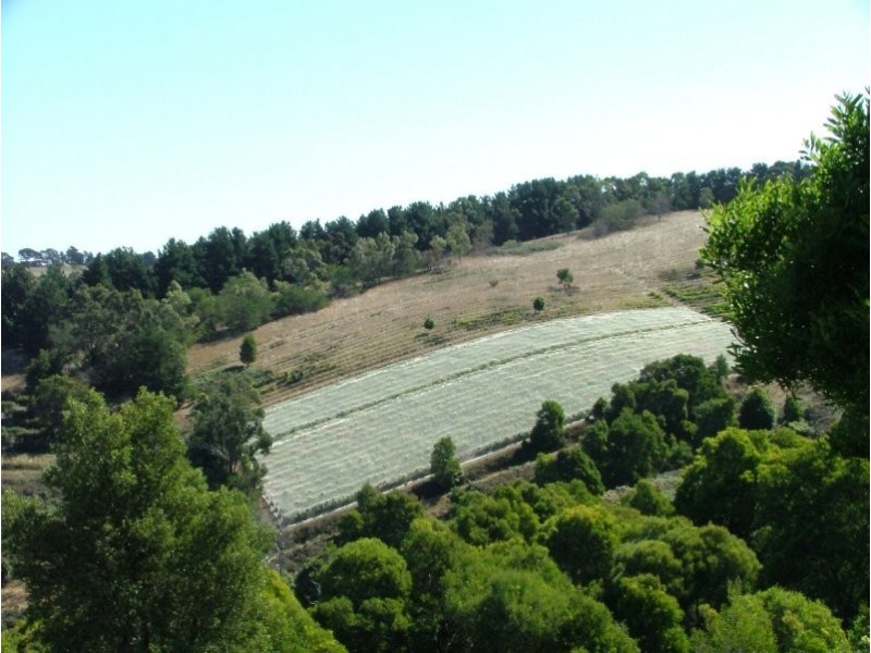 527 Foster Fish Creek Rd, Foster VIC 3960