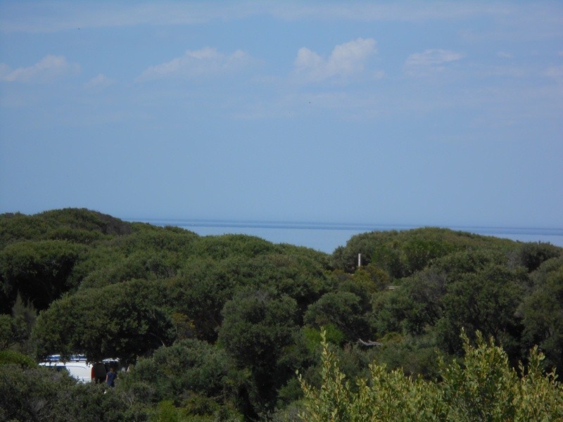 2 Beech Crt, Sandy Point VIC 3959