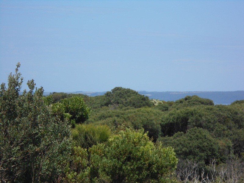 2 Beech Crt, Sandy Point VIC 3959