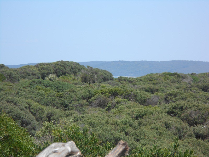2 Beech Crt, Sandy Point VIC 3959