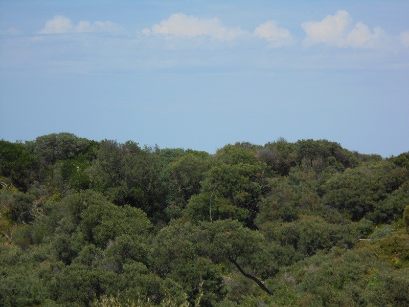 2 Beech Crt, Sandy Point VIC 3959