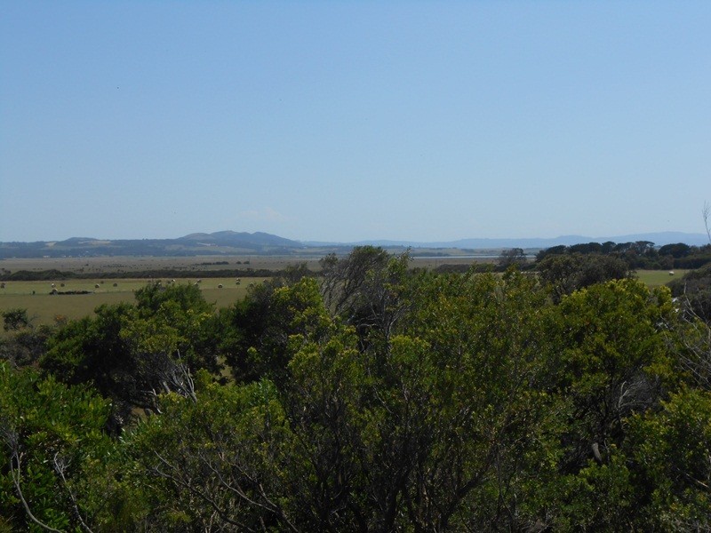 2 Beech Crt, Sandy Point VIC 3959