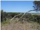 2 Beech Crt, Sandy Point VIC 3959