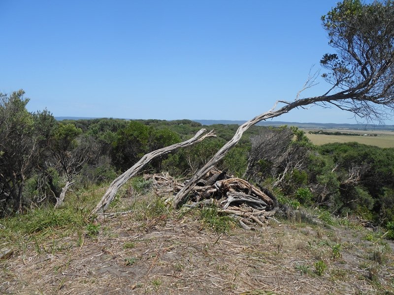 2 Beech Crt, Sandy Point VIC 3959