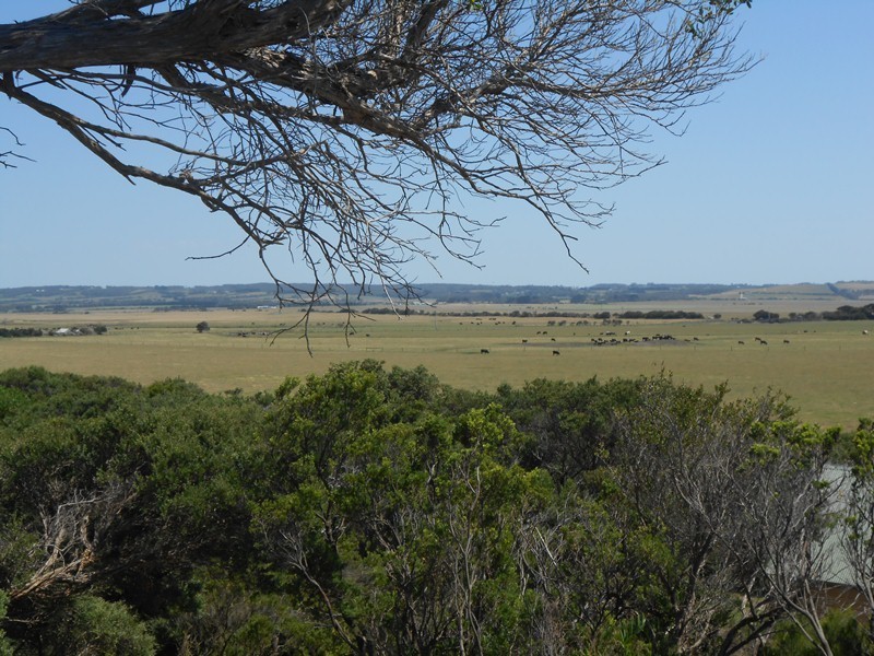 2 Beech Crt, Sandy Point VIC 3959