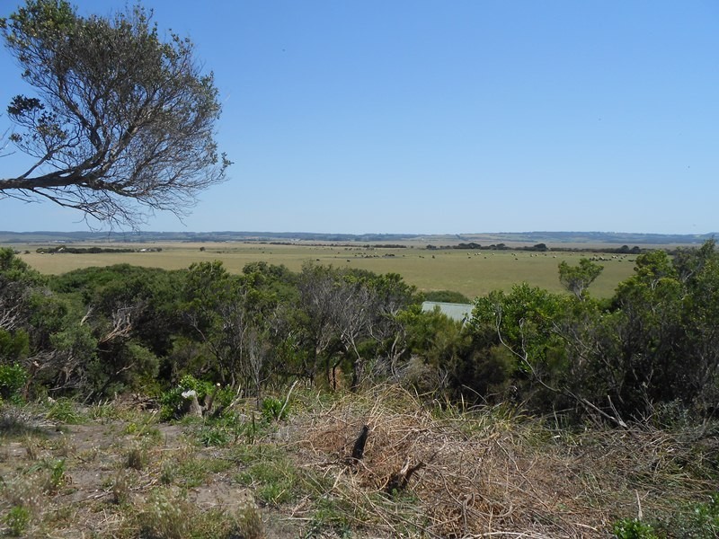 2 Beech Crt, Sandy Point VIC 3959