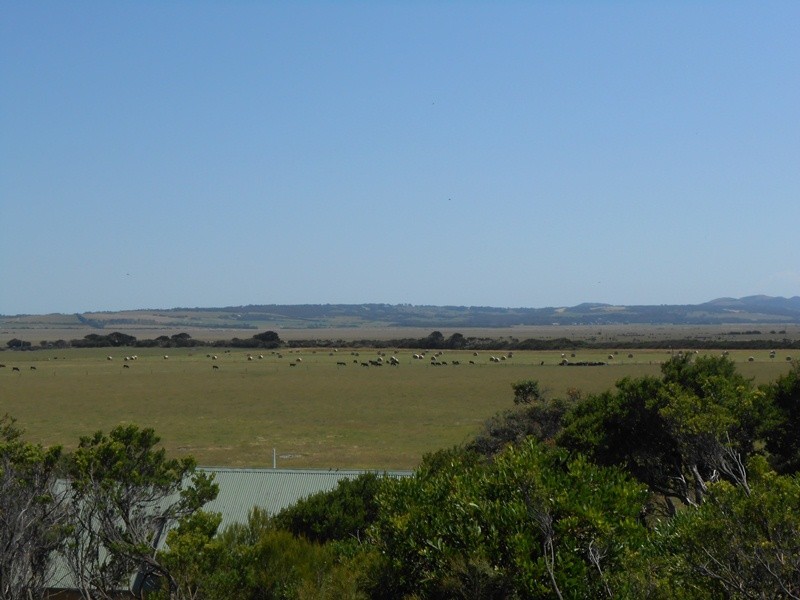 2 Beech Crt, Sandy Point VIC 3959