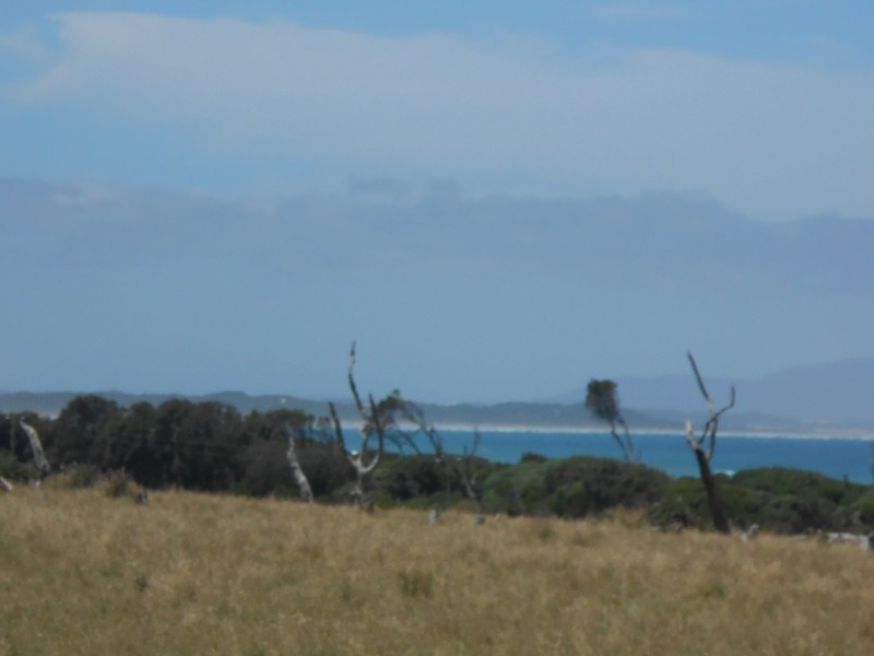 43 Waratah Avenue, Waratah Bay VIC 3959