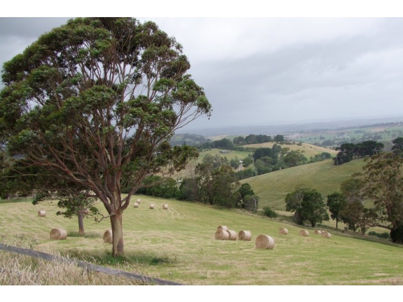 265 Barnes Road, Kardella VIC 3951