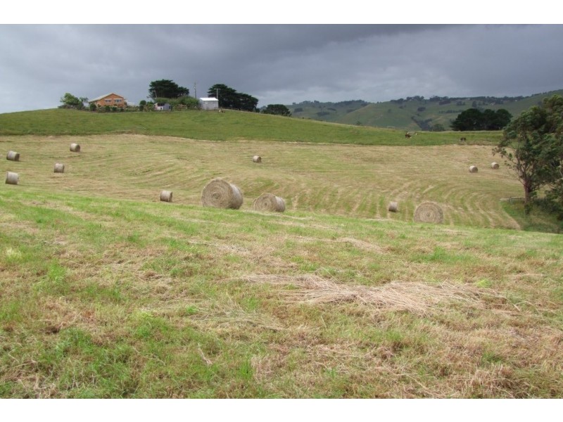 265 Barnes Road, Kardella VIC 3951