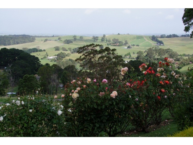 265 Barnes Road, Kardella VIC 3951