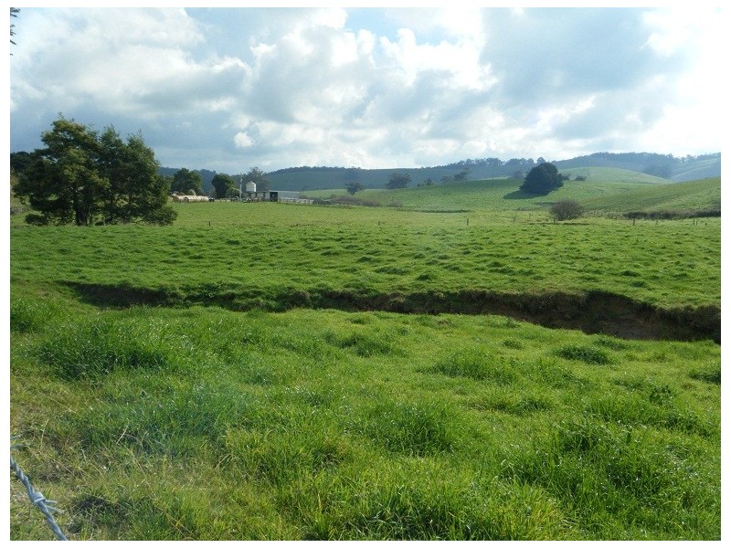 595 Woorarra Rd, Welshpool VIC 3966