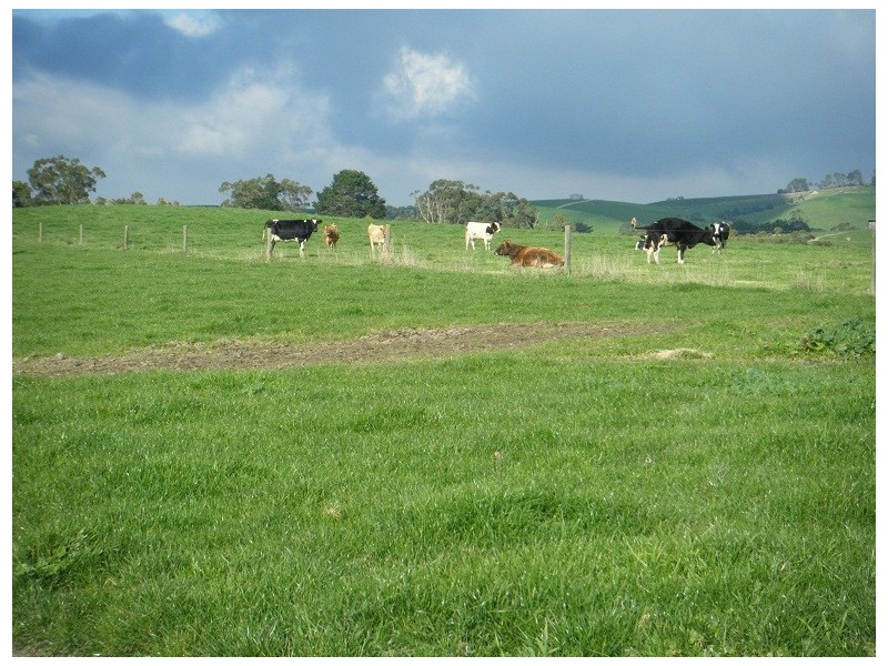 595 Woorarra Rd, Welshpool VIC 3966