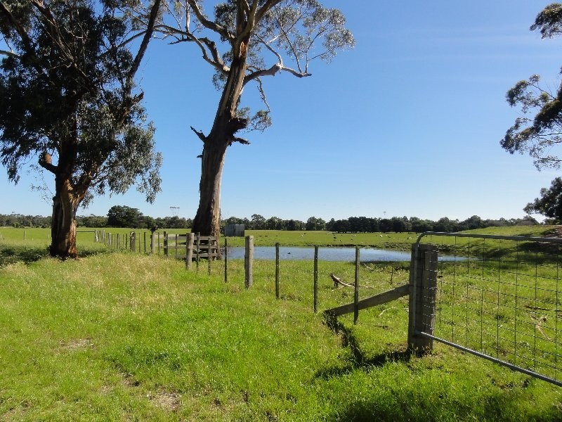 445 Lower Toora Rd, Foster VIC 3960