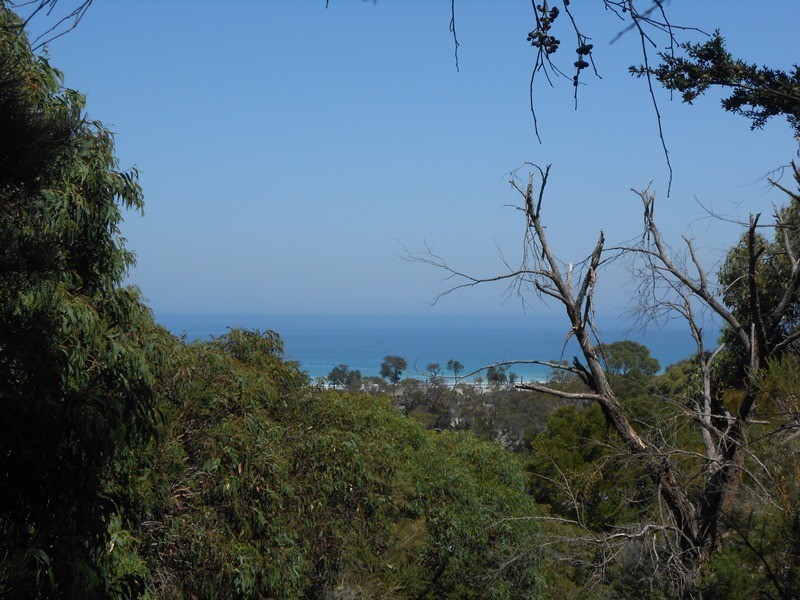 Waratah Bay VIC 3959