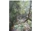 Waratah Bay VIC 3959