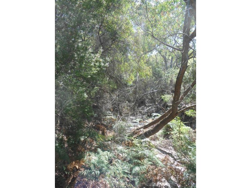 Waratah Bay VIC 3959