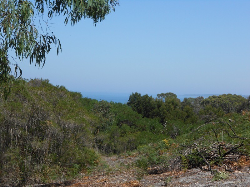 Waratah Bay VIC 3959