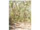 Waratah Bay VIC 3959