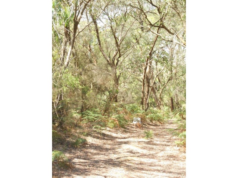 Waratah Bay VIC 3959