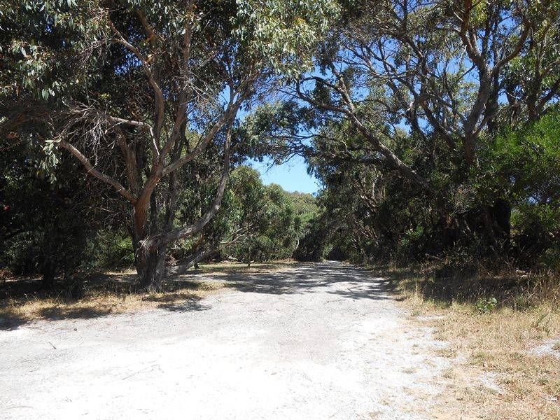 Walkerville VIC 3956